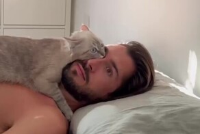 Котики — существа не от мира сего: 20 фото, доказывающих их странность