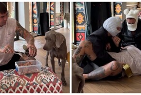 Защитил самое важное ценой жизни хозяина