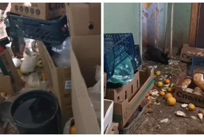 Женщина устроила из чужого подъезда крольчатник, куда таскает тухлые продукты, пока соседи задыхаются