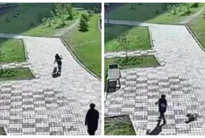 Маленький, но очень злой пёс напал на мальчика в Красноярске