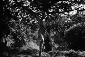 «Хомо советикус»(Сочи 1988 год)