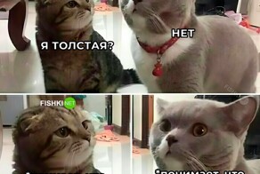 Скрины из соцсетей