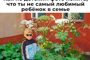 Скрины из соцсетей