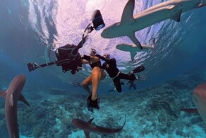 Нападение акул на девушку попало на видео