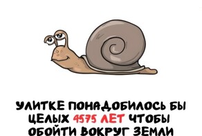 А вдруг ты не знал…