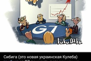 Лишь о политике