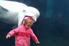 Эмоциональные фото-8