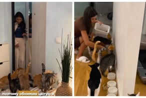 Девушка приютила 17 бездомных кошек