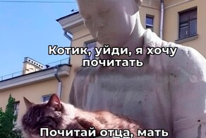 Смешные картинки