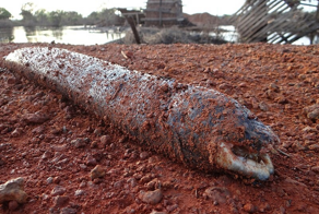 Лепидосирен: формально — рыба. По факту — нечто совсем иное