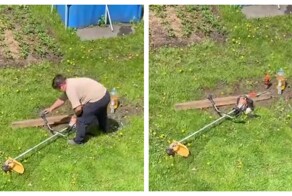 Мужчина проиграл битву с одуванчиками