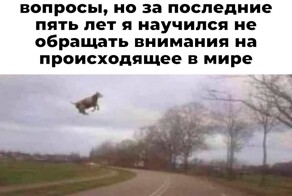 Скрины из соцсетей
