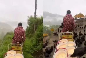 Мужчина уволился из банка и уехал в деревню разводить кур