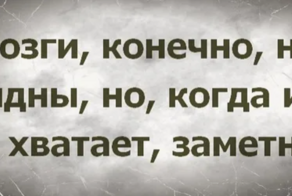 История, которую когда-то давно рассказал нам, студентам, преподаватель по зоопсихологии
