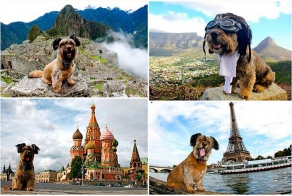 Оскар – пес-путешественник (28 фото)