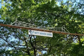 Ореховый мостик: как в США придумали способ спасения пушистых пешеходов