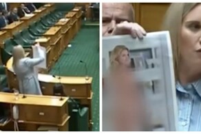 В Новой Зеландии депутат показала в парламенте свое обнажённое AI-фото