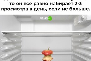 Не ищите здесь смысл. Здесь в основном маразм