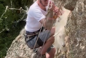 Спасение козла в Крыму