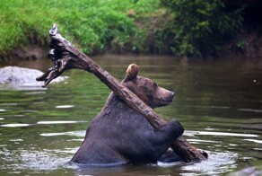 На общую тему&nbsp;