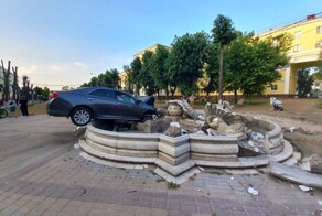 Рыбкой нырнул в фонтан