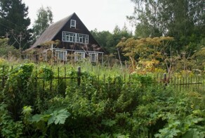 В России утвердили критерии неосвоенной земли, которые станут основанием для изъятия участков