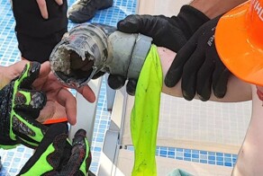 Руку мальчика затянуло в фильтр бассейна на Майорке