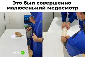 Скрины из соцсетей