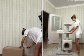 Домик для кота