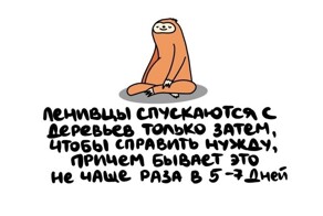 А вдруг ты не знал…