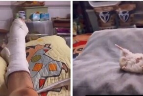 Поддержка от хомяка