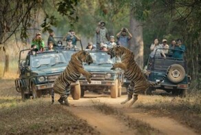 Намешалось