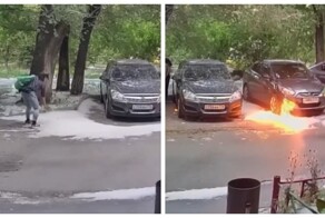 Человеческая тупость