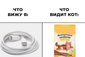 Скрины из соцсетей