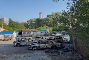 В Екатеринбурге 29-летний «ребёнок» поджег тополиный пух