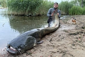 Весит около 100 килограммов: поляк поймал гигантского сома, которому более 50 лет