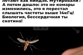 Скрины из соцсетей