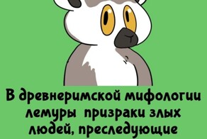 А вдруг ты не знал…
