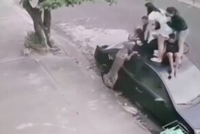 Нападение питбуля на подростков в Бразилии