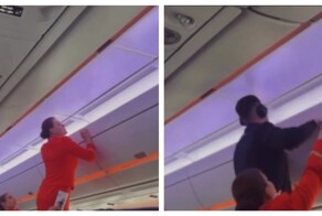 Оса на 40 минут задержала авиарейс из Хабаровска в Москву