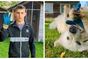 Разгадка оказалась ближе, чем можно было подумать