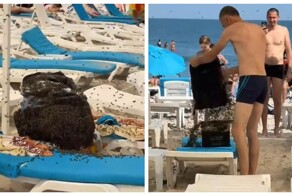 Во время отдыха на пляже семья обнаружила, что их вещи "захватили" сотни пчёл