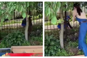 Сотрудница детского сада прогнала наглого закладчика