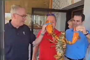 В США 110-летнего лобстера отправили на пенсию