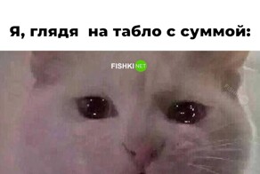 Смешные картинки