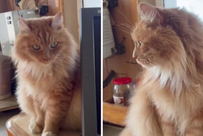 Самый милый член экипажа официально живет на камчатском судне