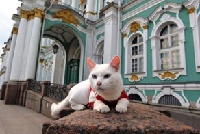 Эрмитажные коты получили неожиданное наследство