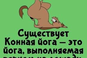 А вдруг ты не знал…
