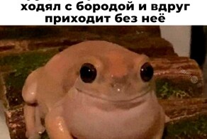 Не ищите здесь смысл. Здесь в основном маразм