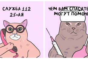 Странный звонок диспетчеру экстренных служб